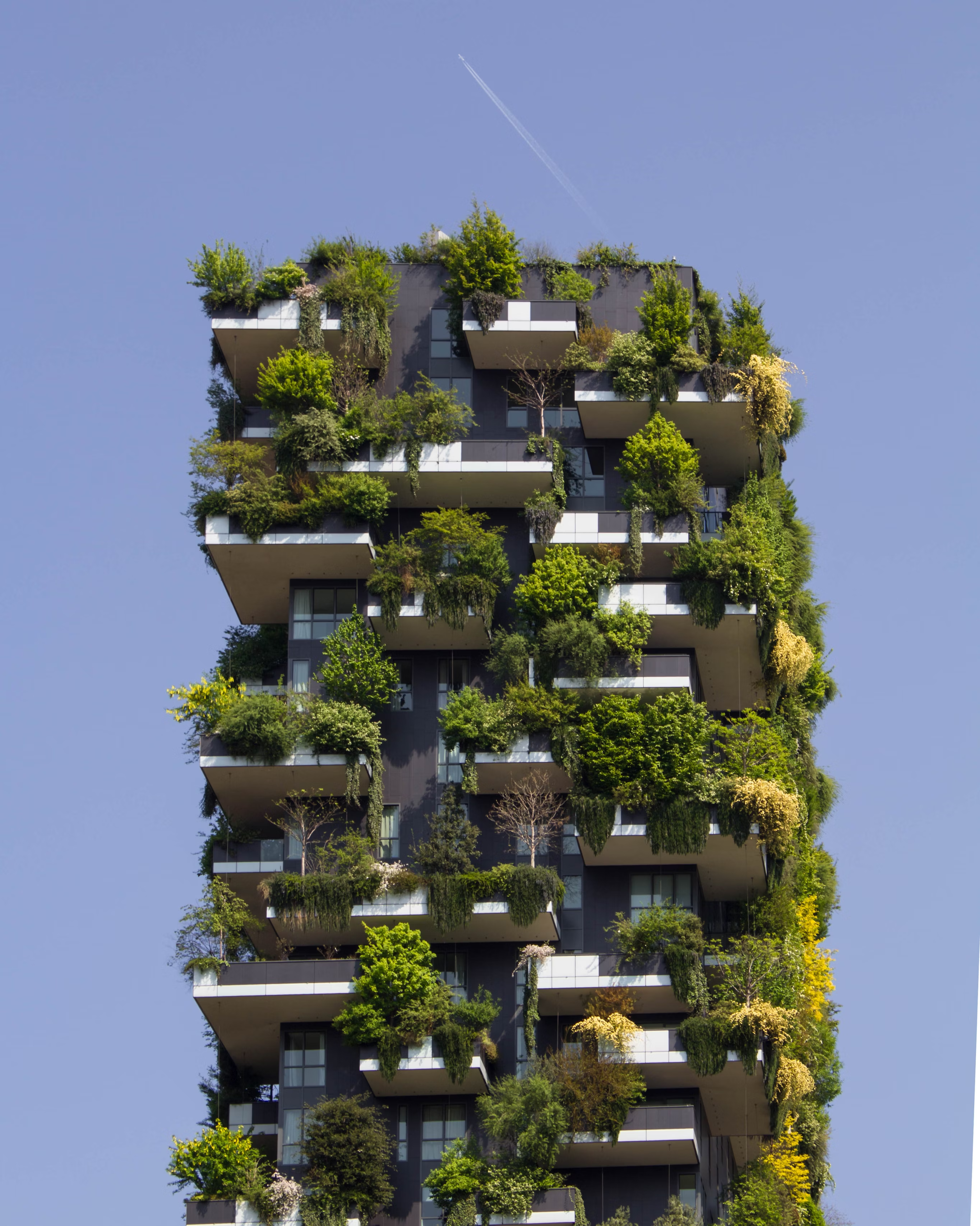Apartment building with overgrown greenery